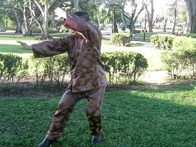 Sun Style Taijiquan